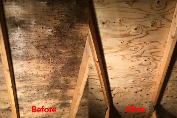water damage restoration service Moreland Hills